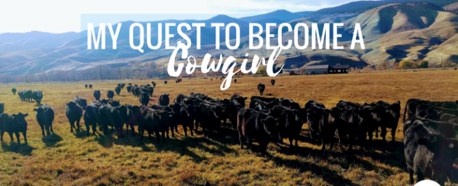 My-Quest-to-Become-a-Cowgirl-669×272 cowgirl