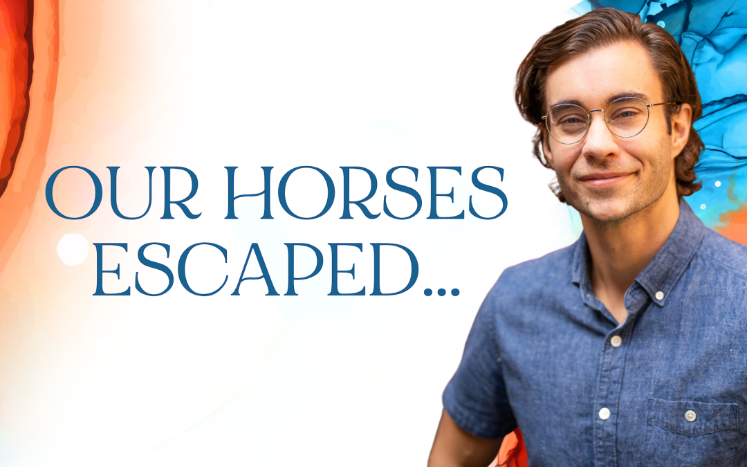 Our horses escaped…