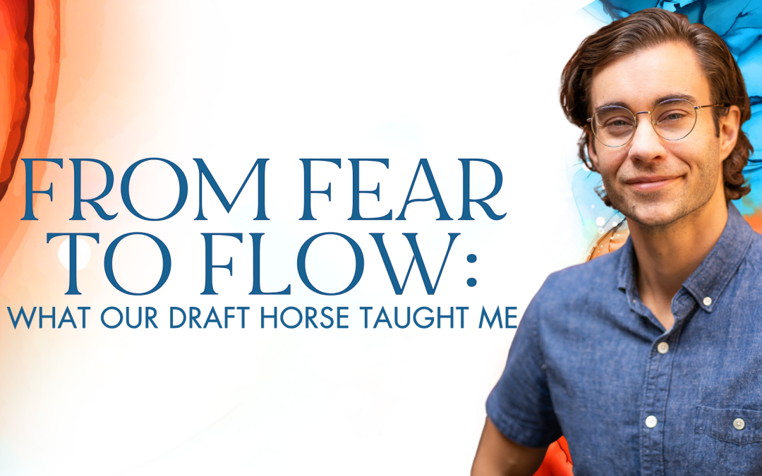 From fear to flow: what our draft horse taught me