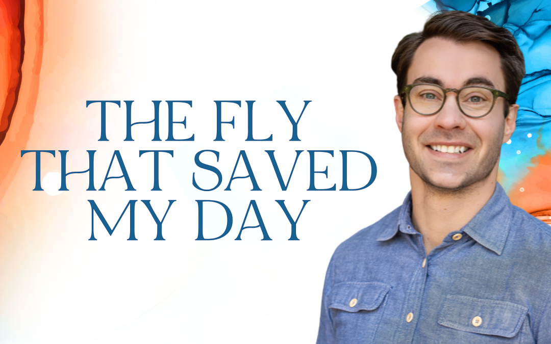 The Fly That Saved My Day